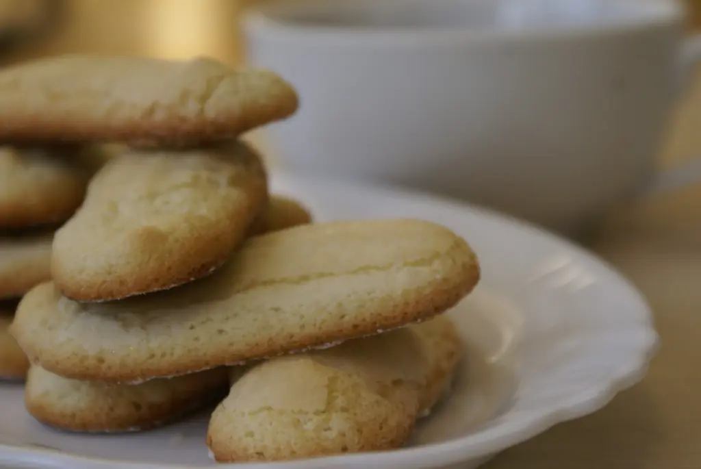 Savoiardi Biscuits