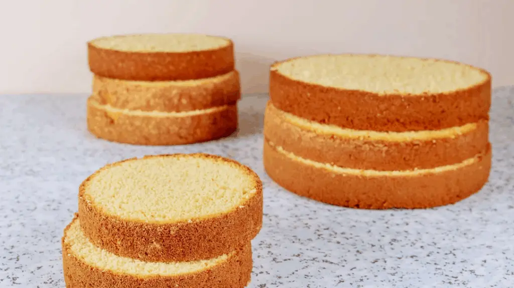  Sponge Cake | ladyfingers tiramisu
