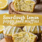 Sourdough Lemon Poppy Seed Muffins